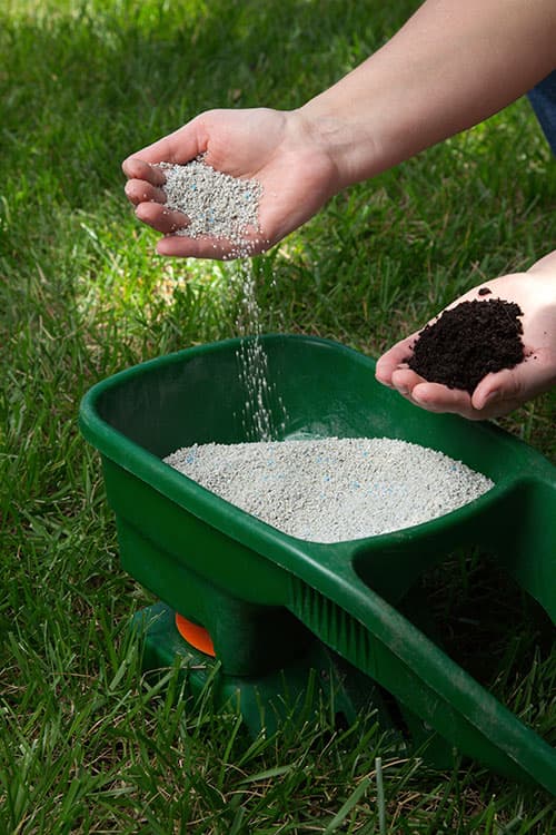 Fertilization