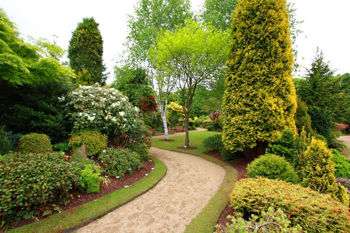 Landscape Design