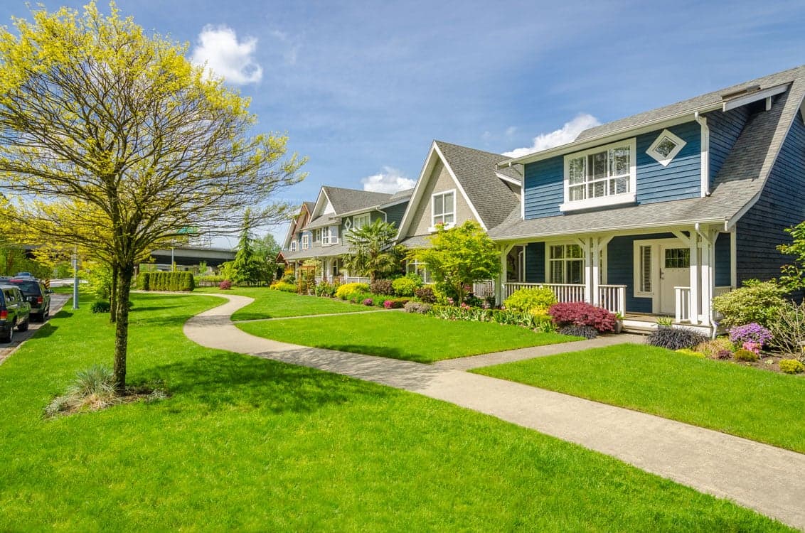 Lawncare