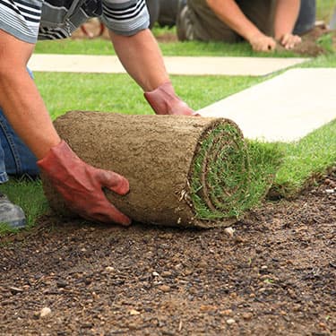 Aeration by A Cut Above Lawn Care Inc