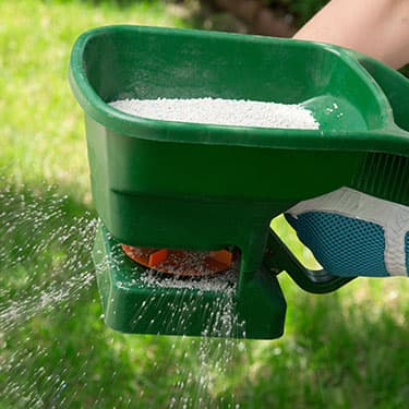 Lawn Pest Control by A Cut Above Lawn Care Inc